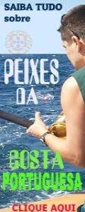 Peixes da costa portuguesa